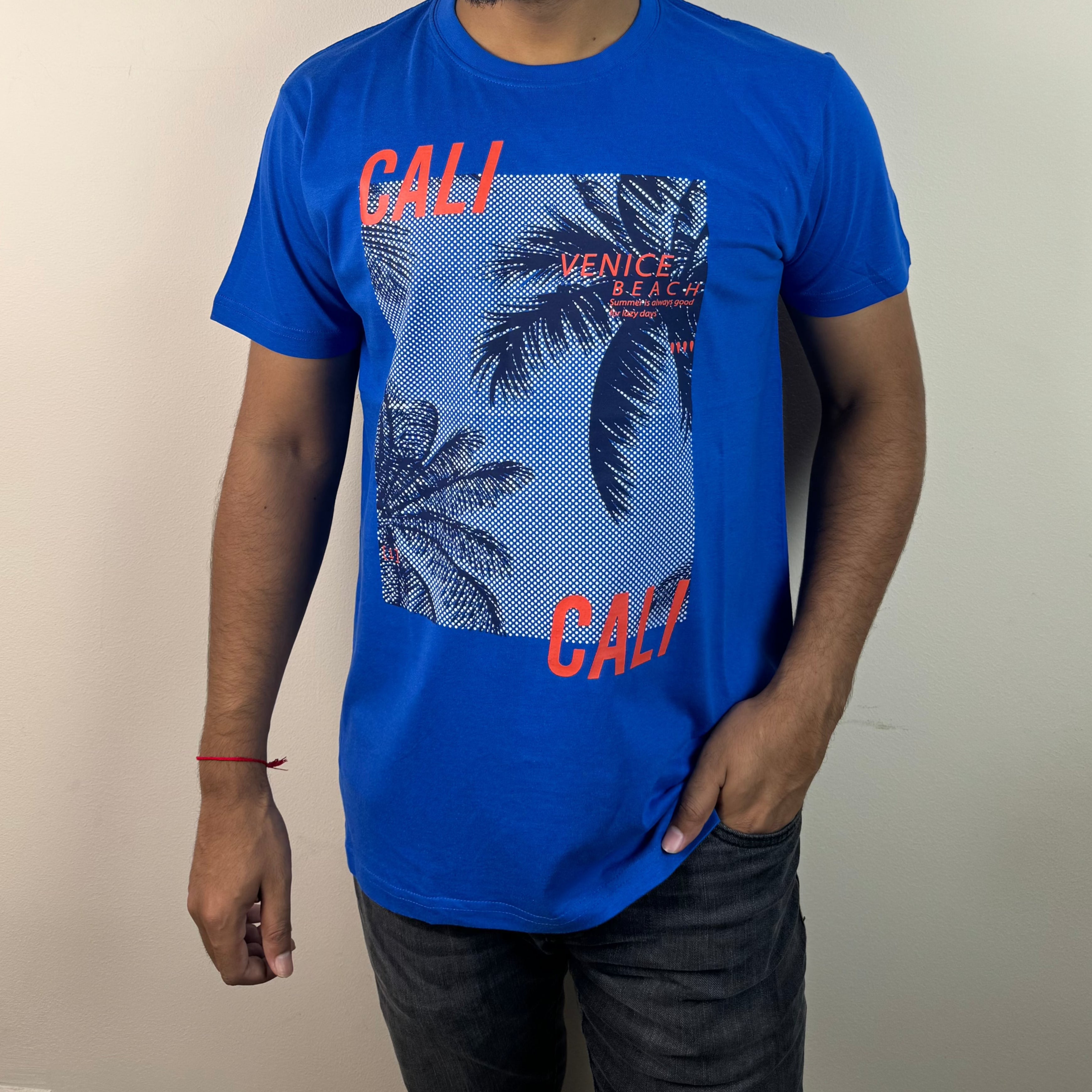 Mens 5 Pcs Summer T-Shirt Combo