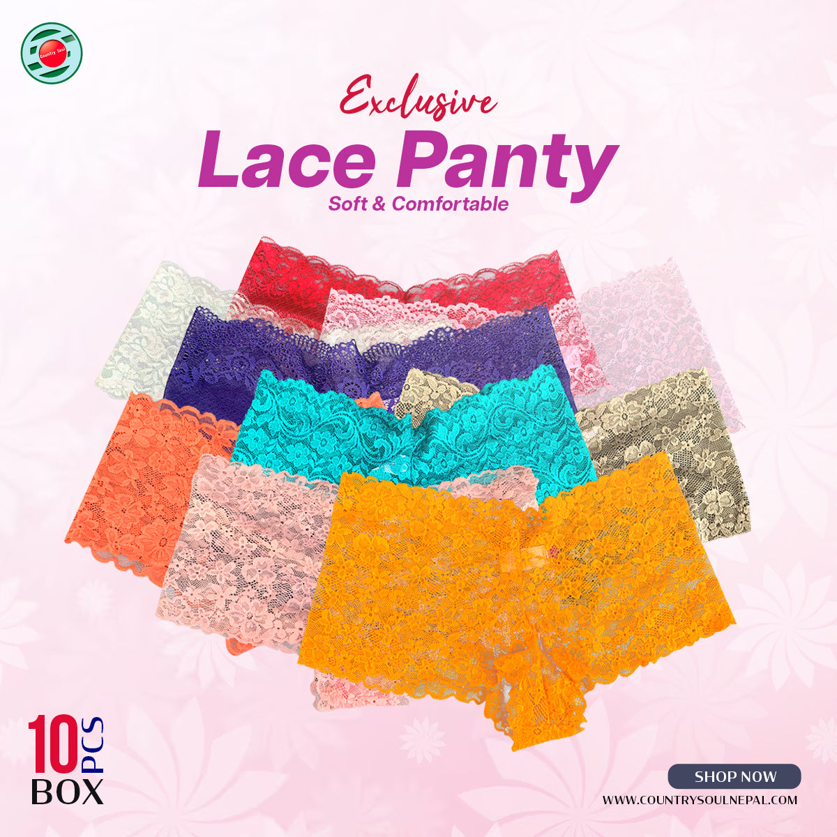 10 Pcs Assorted Lace Panty