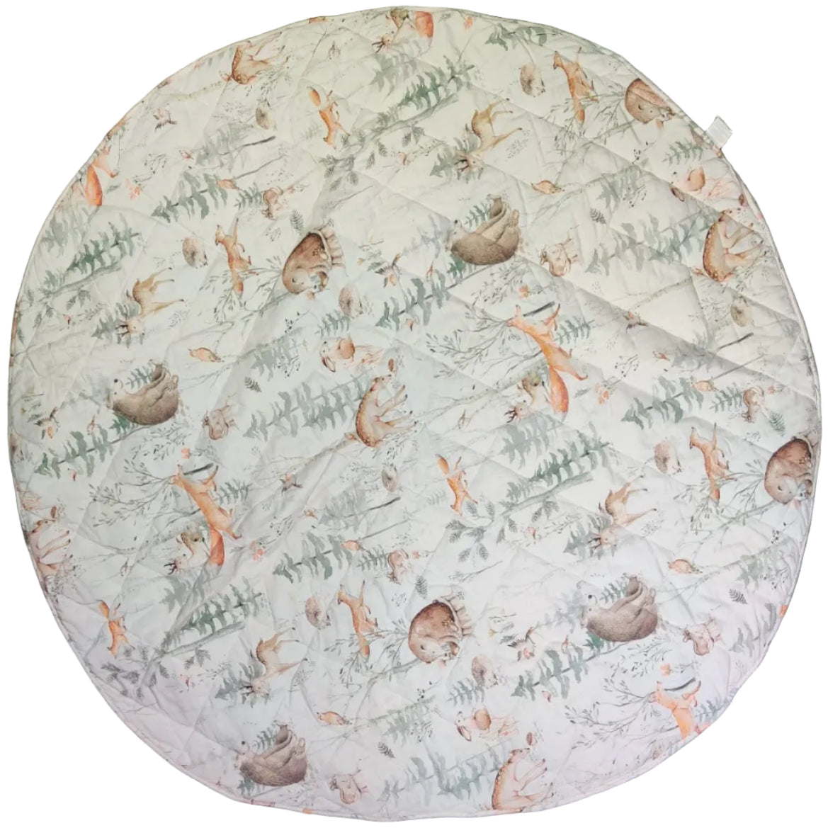 Baby Playing Mat